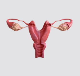 Câncer de Colo do Útero