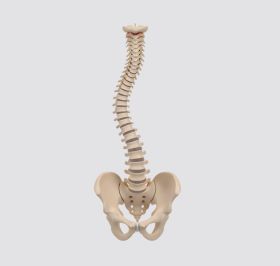 Tumor Coluna Vertebral