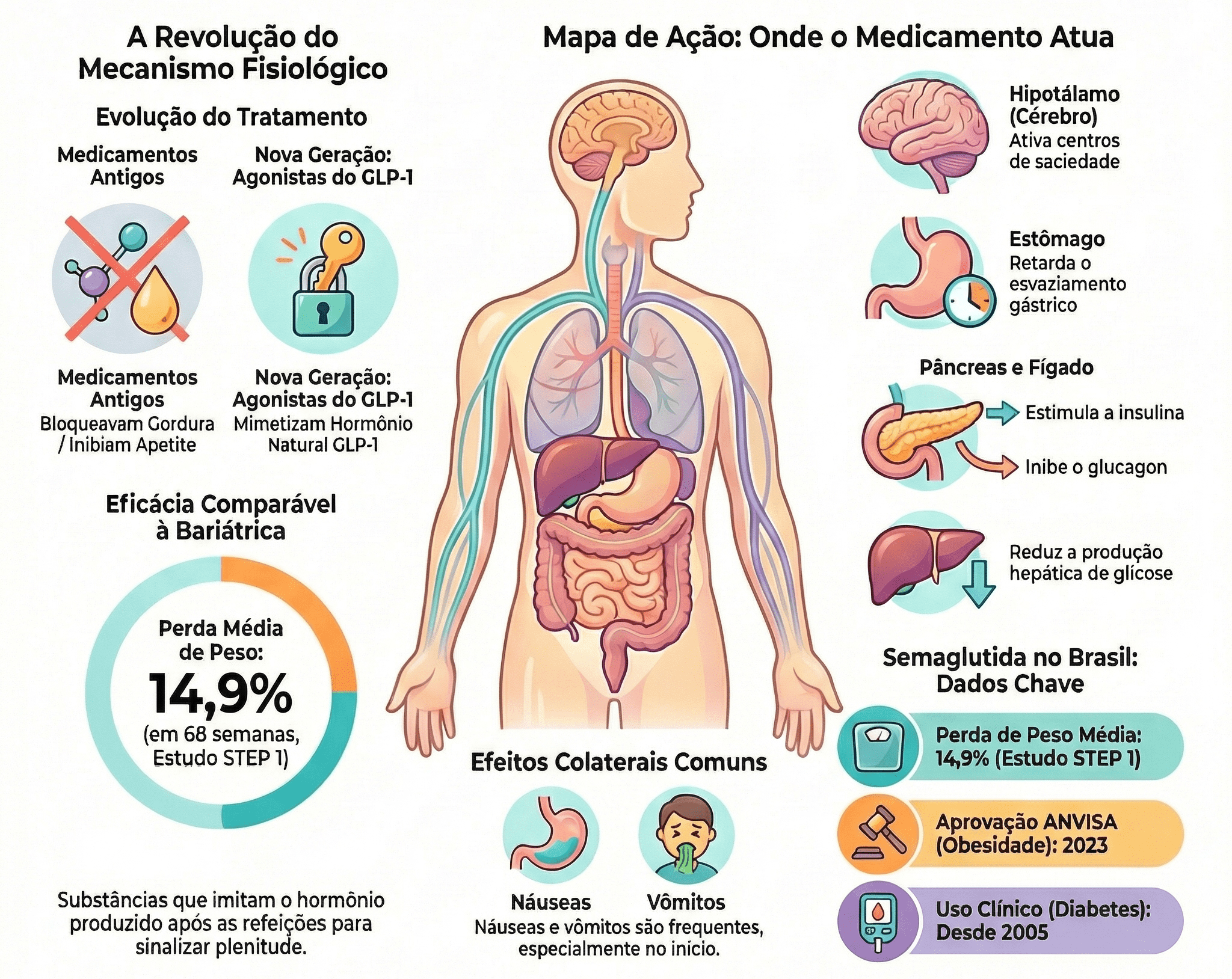 Infográfico explicando o mecanismo de ação das injeções para emagrecer GLP-1 — Ozempic, Wegovy e Mounjaro — e seus efeitos no corpo humano