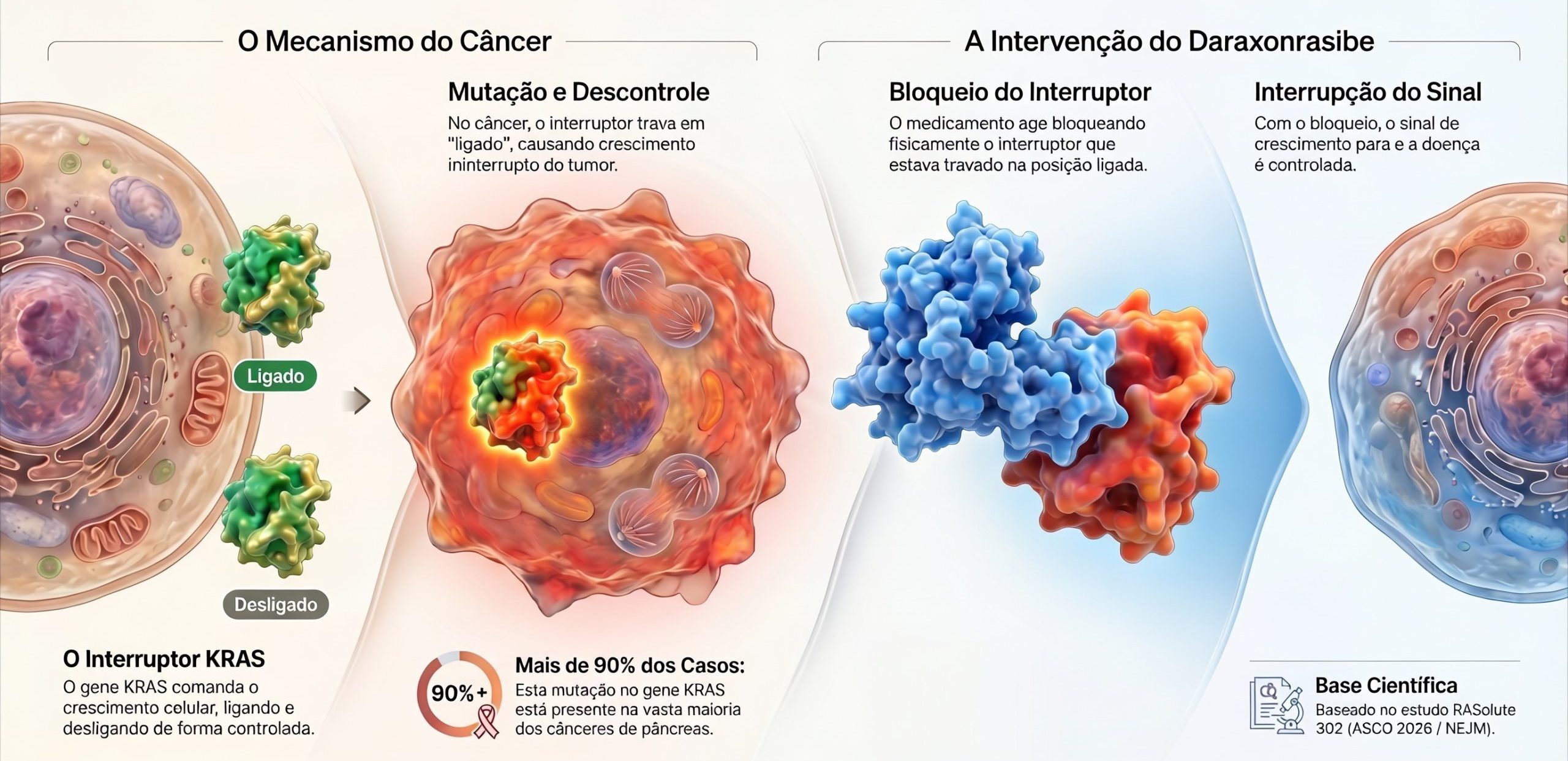 Ilustração do mecanismo de ação do daraxonrasibe no câncer de pâncreas: o gene KRAS travado na posição "ligado" que causa o crescimento do tumor e o bloqueio físico desse interruptor pelo medicamento.