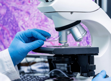 Carcinoma neuroendócrino de grandes células do pulmão