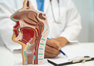 Asian doctor with nasal oral throat cavity neck human anatomy model for study diagnosis and treatment in hospital.