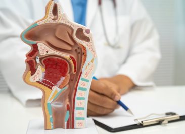 Asian doctor with nasal oral throat cavity neck human anatomy model for study diagnosis and treatment in hospital.
