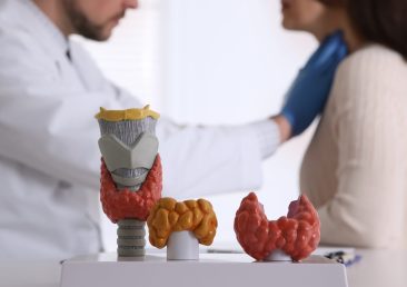Doctor examining thyroid gland of patient in hospital, focus on organ models