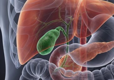 human-liver-gallbladder-pancreas-anatomical-illustration