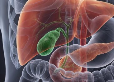 human-liver-gallbladder-pancreas-anatomical-illustration