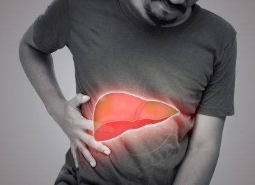 The illustration of liver is on the man's body against gray background. A men with hepatitis and fatty liver problem.