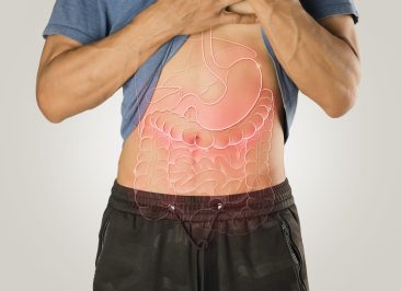 Internal organ illustration on the male body against a light gray background. Liver, stomach, small intestine, large intestine, small intestine.